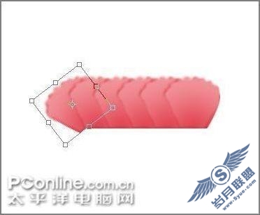 母亲节用AdobePhotoshop鼠绘一支康乃馨(3)