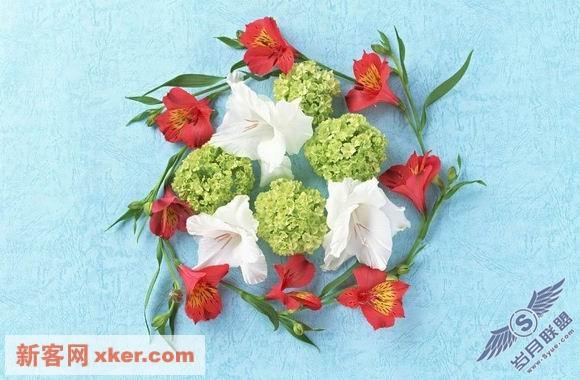 绝美鲜花 