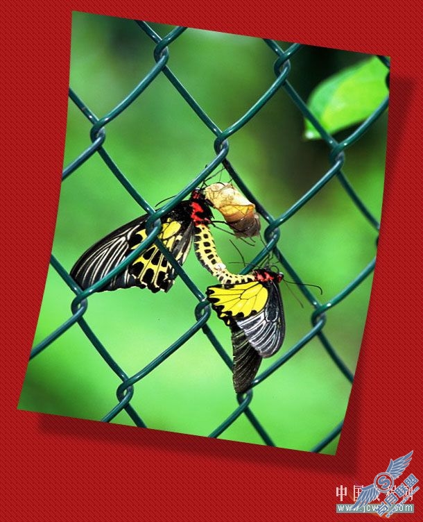 Photoshop初学者实例教程:简单打造照片立体效果