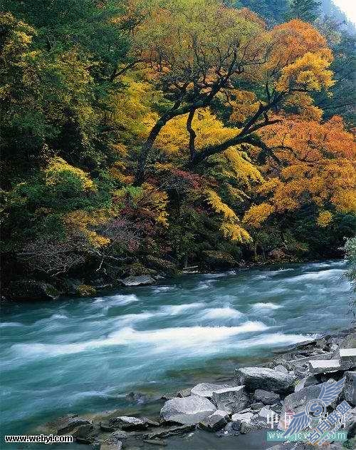 Photoshop教程:静态风景照变动态流水效果