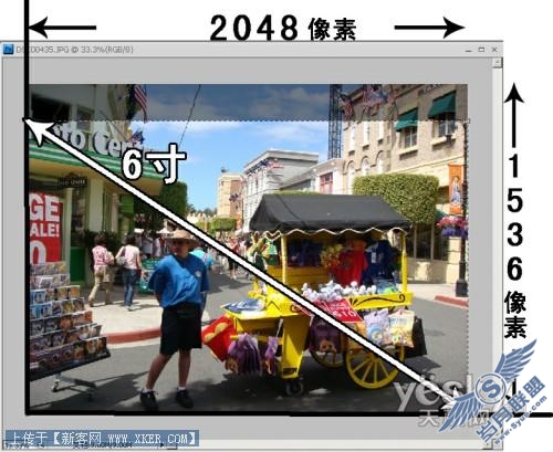 Photoshop CS4强悍无损裁边 精彩不留遗憾