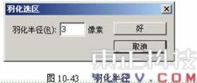 胶瓶式结构包装--润滑机油包装(九)
