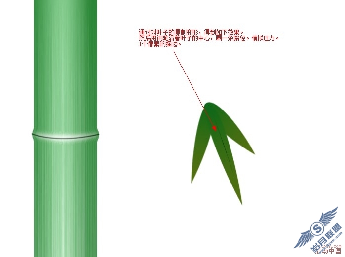 Photoshop超简单打造逼真的竹子