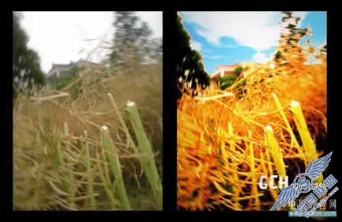 Photoshop调色教程:在那油菜丰收的时节