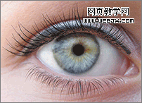 Photoshop美容教程:打造纤长卷翘的睫毛