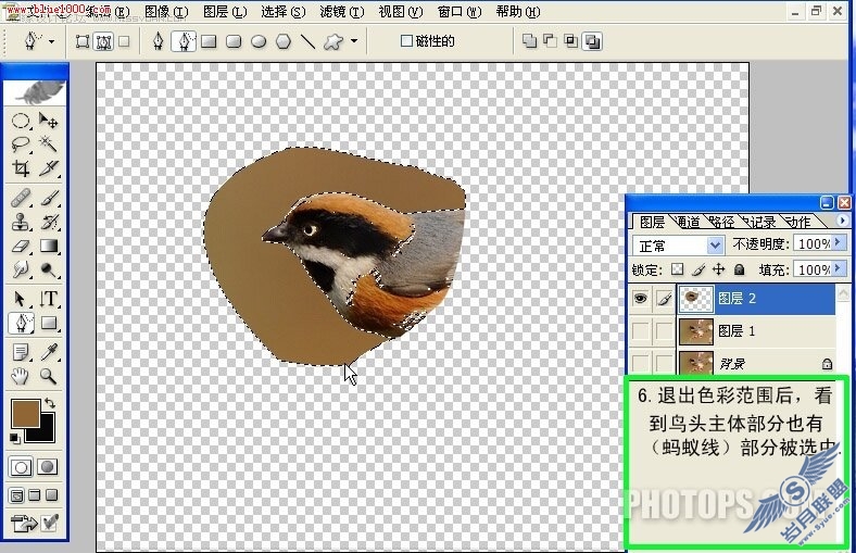 Photoshop制作小鸟鸣叫时的动作