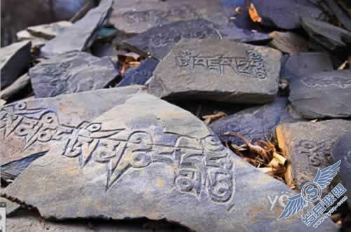 点击放大此图片