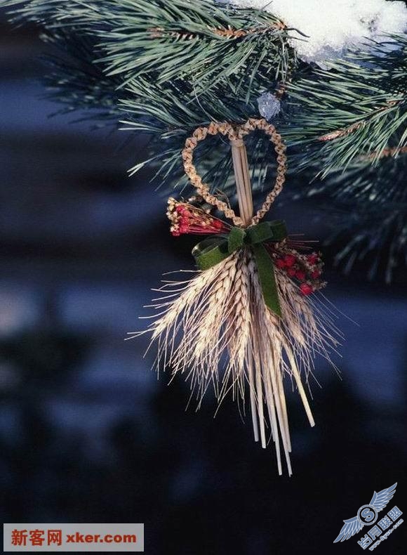 圣诞节