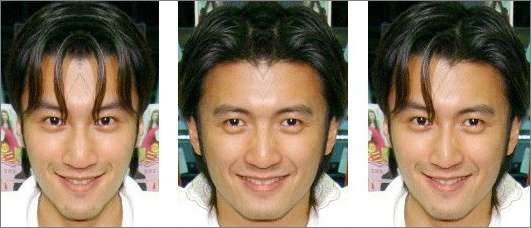 Photoshop出来的众多明星对称脸照欣赏