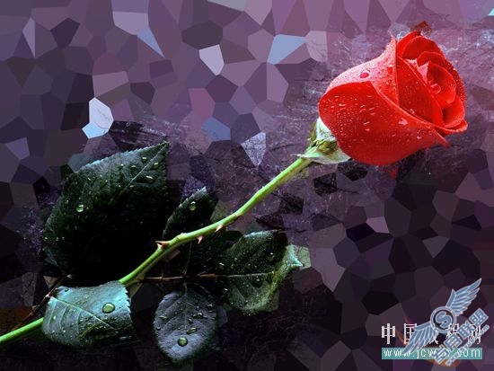 Photoshop入门教程:历史画笔之基础操作