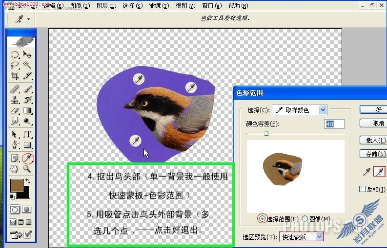 Photoshop制作小鸟鸣叫时的动作