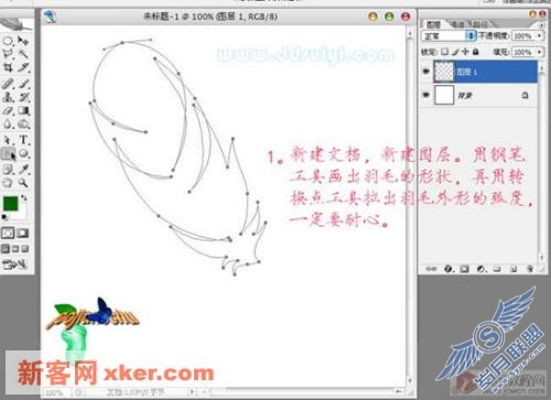 PS简单制做漂亮的羽毛(图二)