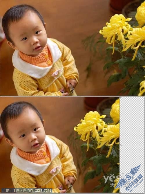 各选所需 快速掌握Photoshop CS4