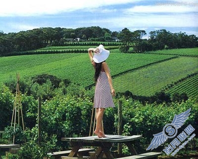 Photoshop打造紫色田园非主流色彩照片