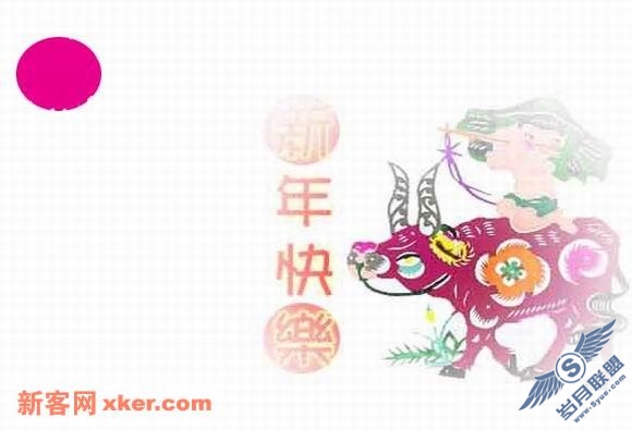 网页设计