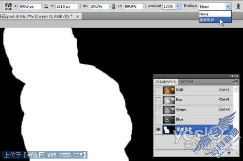 各选所需 快速掌握Photoshop CS4
