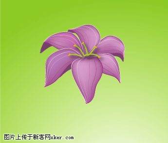 图11