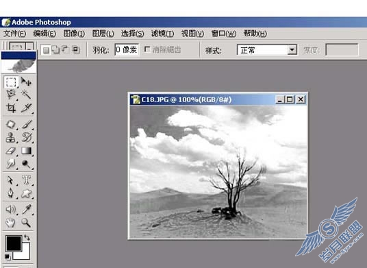 Photoshop处理图片为淡墨效果
