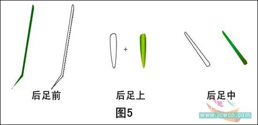 绘制逼真螳螂