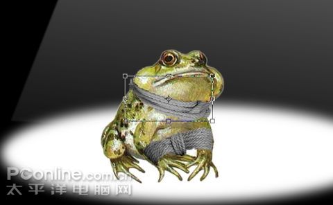 Photoshop合成创意教程:青蛙的呐喊
