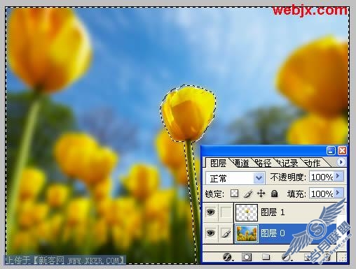 照片处理 Photoshop使照片中的部分脱颖而出