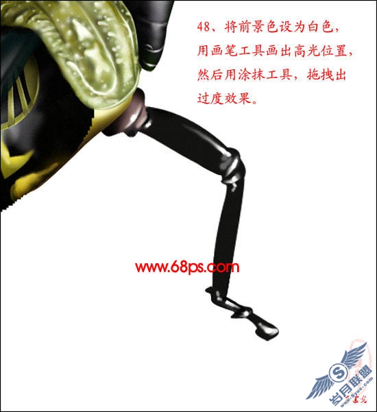 PhotoShop鼠绘超真实的蝗虫