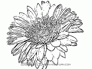 photoshop利用滤镜使照片转黑白线描画