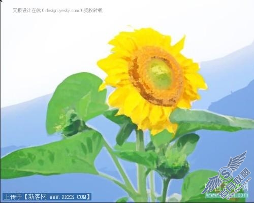 点击放大此图片