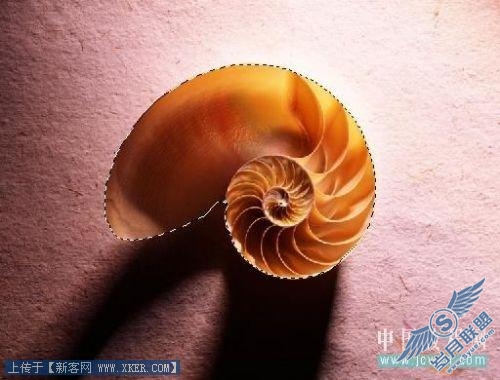 Photoshop实例:制作漂亮的自定义笔刷和形状