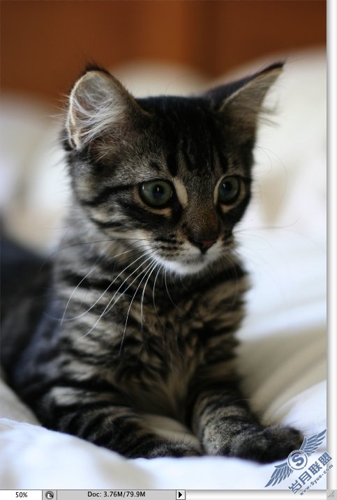 Photoshop滤镜结合混合模式让照片变清晰