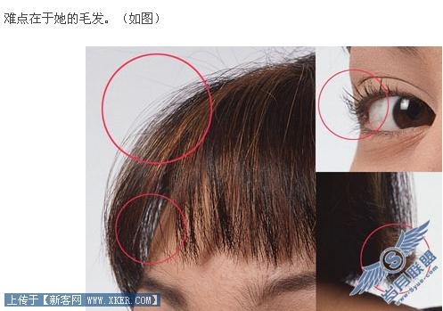 Photoshop通道抠图基础实例教程