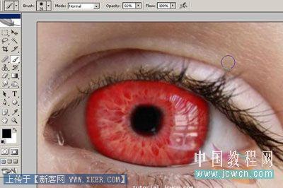 Photoshop入门教程:简单改变眼睛的颜色