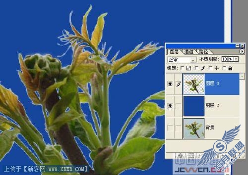 Photoshop去边命令巧除抠图杂边_天极设计在线转载
