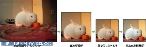 点击放大此图片