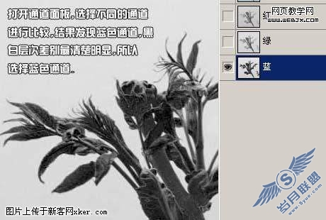 Photoshop通道抠图教程:绿叶树干