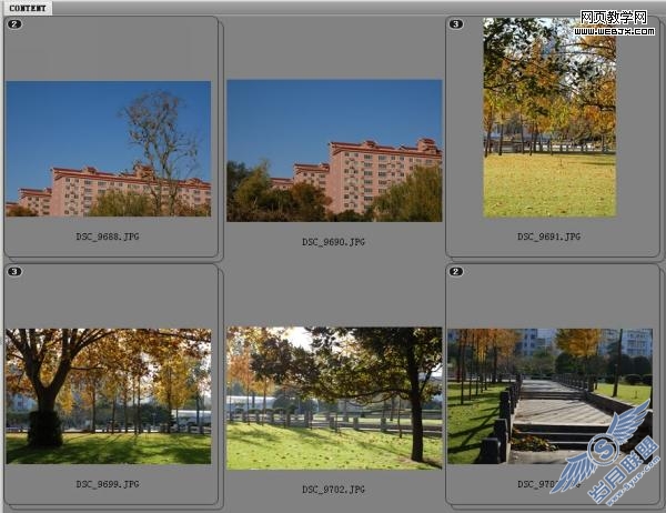 Photoshop CS4(Bridge)的几处完善
