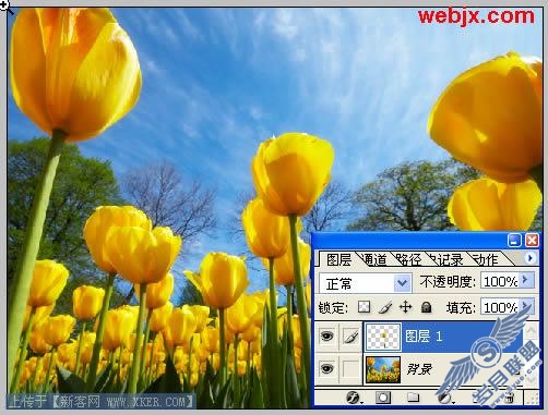 照片处理 Photoshop使照片中的部分脱颖而出
