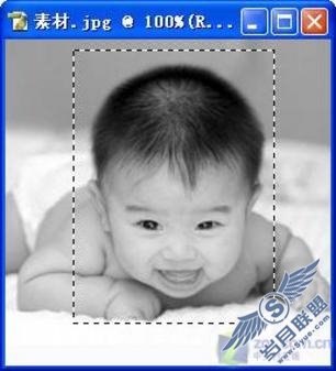 Photoshop实例:剪边效果制作照片邮票