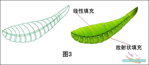 绘制逼真螳螂