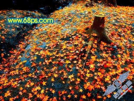 Photoshop制作橙黄色成片枫叶图【图】_