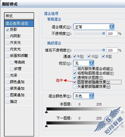 Photoshop制作漂亮的野生动物主题海报
