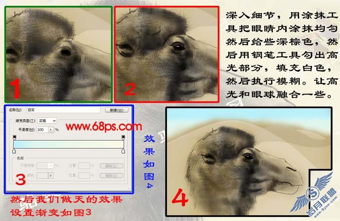 PS鼠绘沙漠骆驼插画