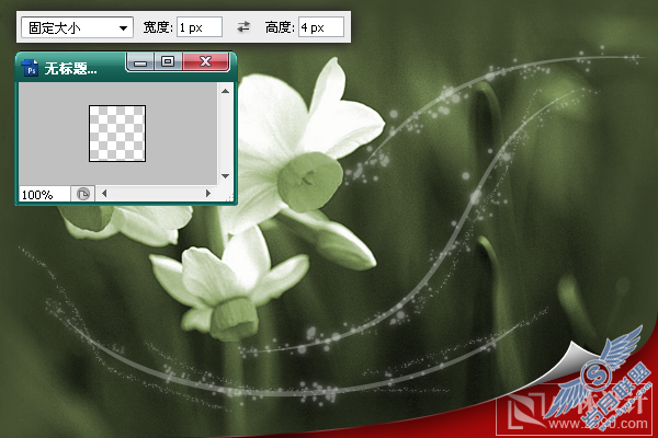 Photoshop处理照片:花卉照片添加光线