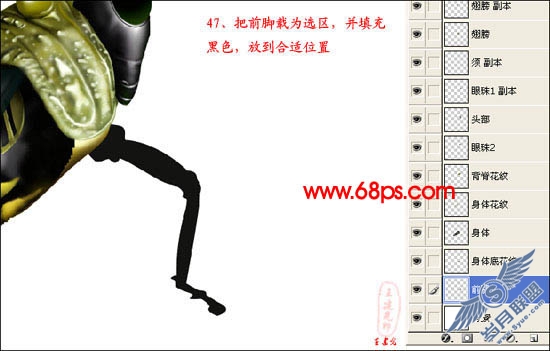 PhotoShop鼠绘超真实的蝗虫
