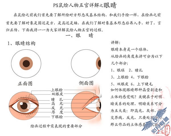 Photoshop鼠绘眼睛的详解教程_