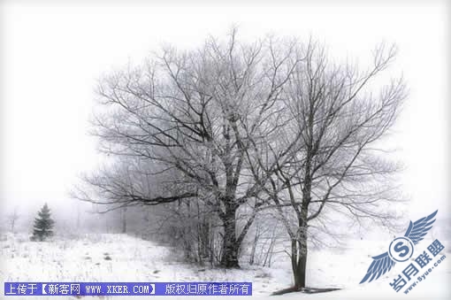 PhotoShop制作斑驳非主流效果照片