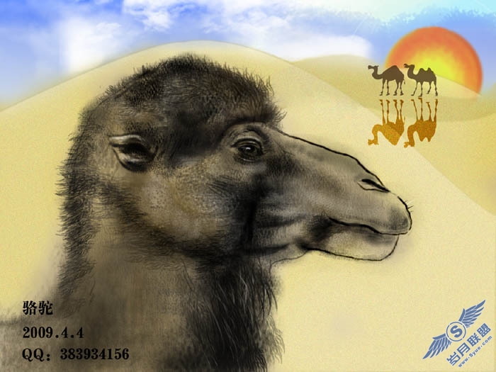 PS鼠绘沙漠骆驼插画