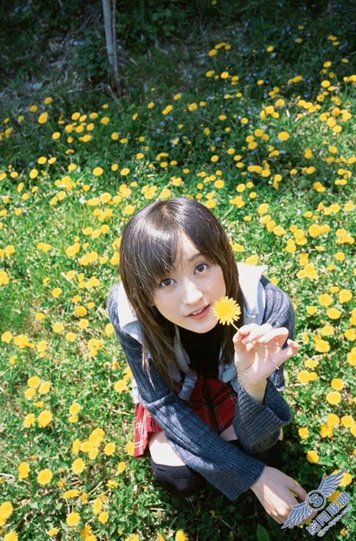 用photoshop把绿茵夏变换为红紫