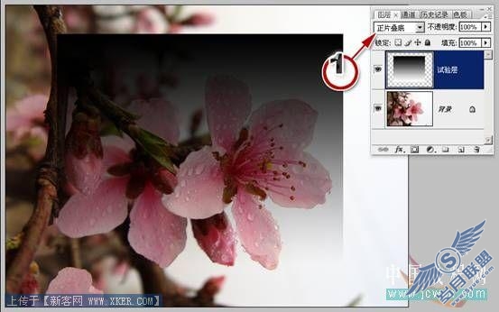 Photoshop入门教程:数字运算的魔力—混合模式巧抠图