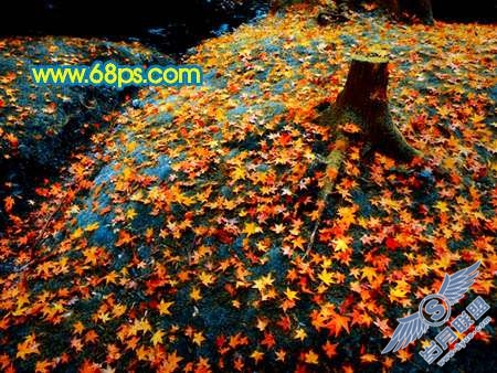 Photoshop制作橙黄色成片枫叶图【图】_